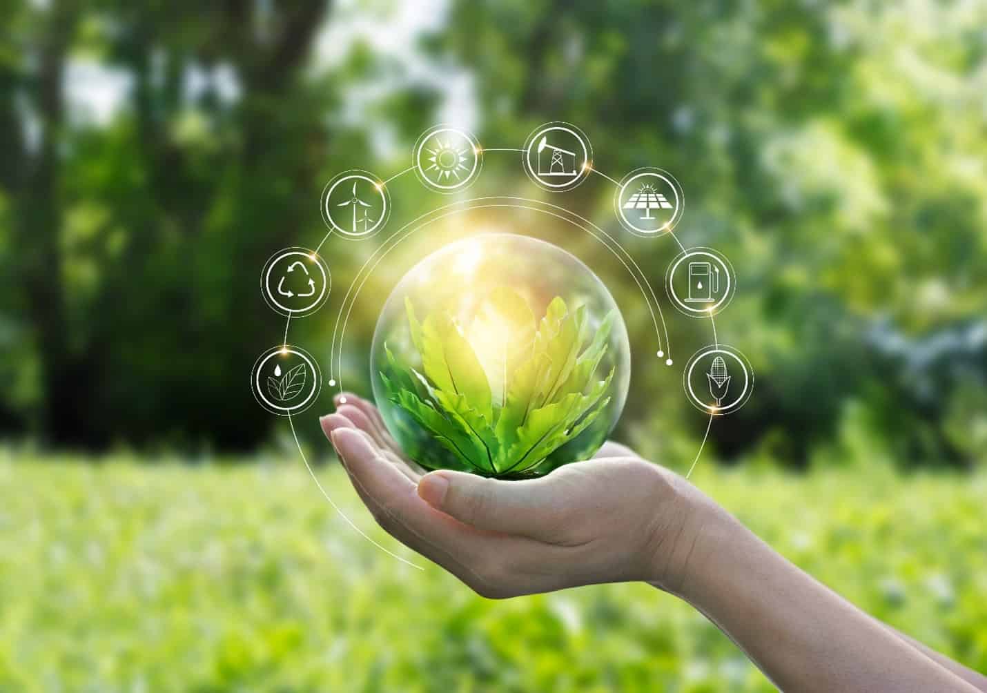 Environmental Reporting